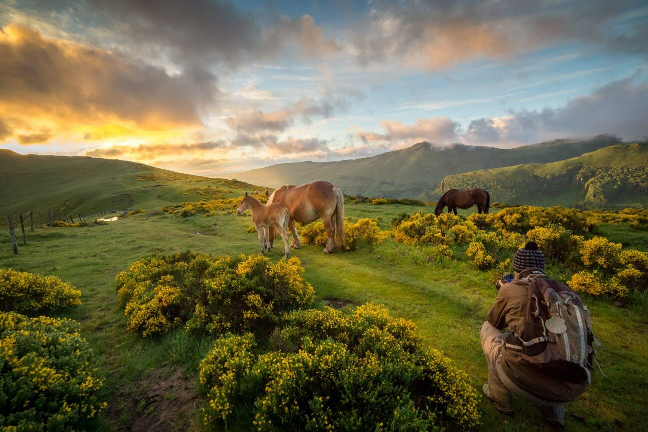 image resize minus 500px